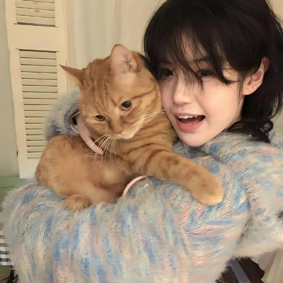 将军家的小儿子